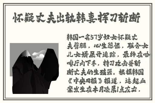 国内精品久久久久精品